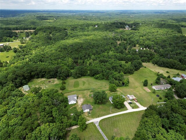 303 Bird Song Ln, Saint Clair, MO 63077 - photo 40