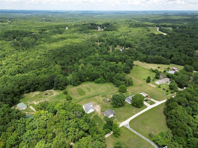303 Bird Song Ln, Saint Clair, MO 63077 - photo 42