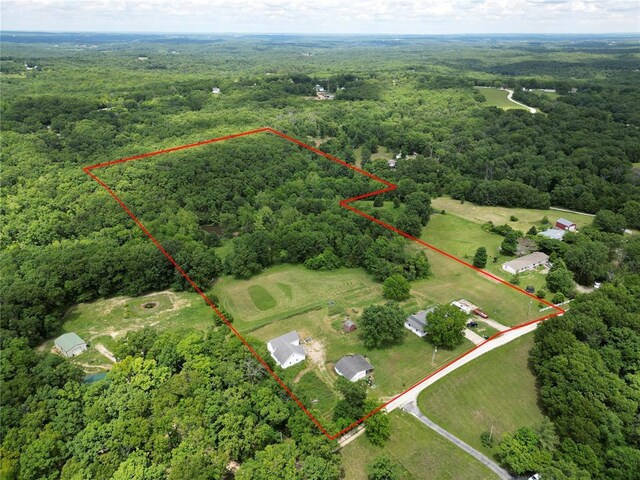 303 Bird Song Ln, Saint Clair, MO 63077 - photo 43