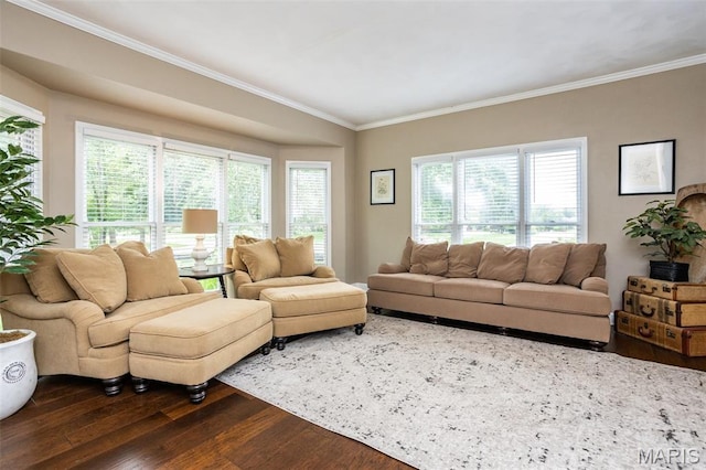 600 E Waters Edge Dr, Shiloh, IL 62221 - living area featuring dark wood-style flooring and crown molding