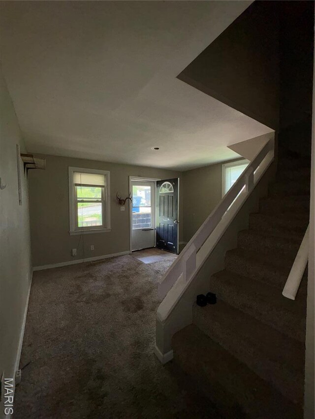 205 Selma St, New Haven, MO 63068 - photo 9