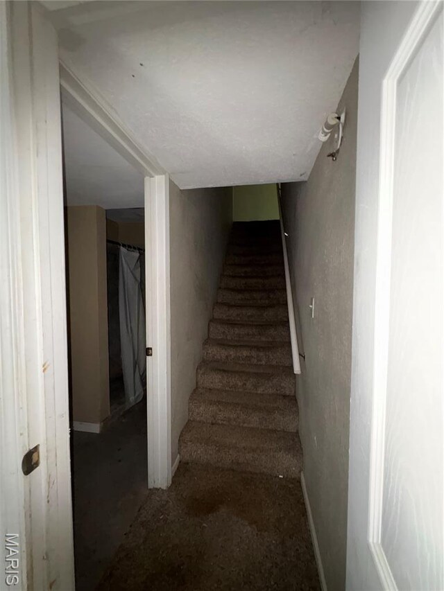 205 Selma St, New Haven, MO 63068 - photo 28