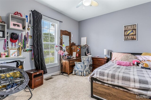 457 Yellowstone Dr, Farmington, MO 63640 - photo 31
