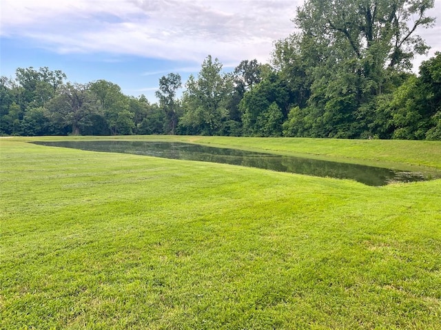 18428 Lake Circle Dr, Dexter, MO 63841 - view of green lawn with a water view