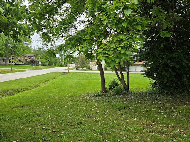 533 W Hawthorne St, Houston, MO 65483 - view of green lawn