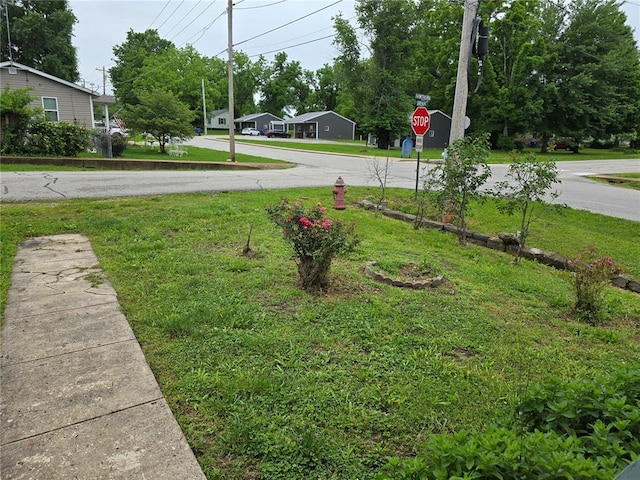 533 W Hawthorne St, Houston, MO 65483 - view of green lawn