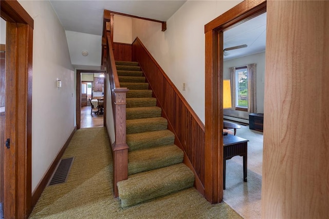 216 County Road 512, Shawneetown, MO 63732 - stairway featuring a baseboard radiator, carpet floors, and wainscoting