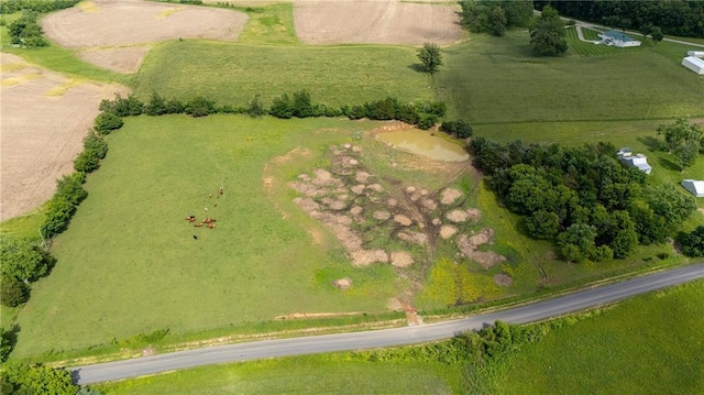216 County Road 512, Shawneetown, MO 63732 - overview of rural landscape