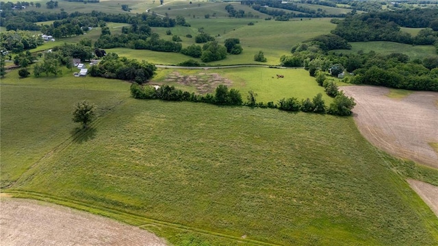 216 County Road 512, Shawneetown, MO 63732 - view of rural area