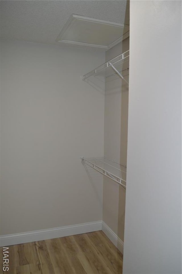 115 Lemans Ct Unit 115, Lake St Louis, MO 63367 - walk in closet with light wood-style floors