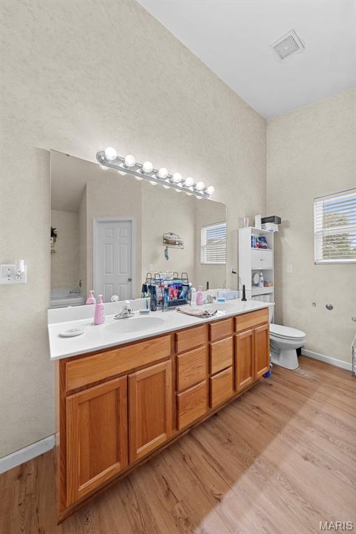 81 Berretta Ct, Wright City, MO 63390 - bathroom with double vanity, wood finished floors, toilet, and plenty of natural light