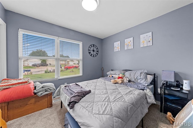 81 Berretta Ct, Wright City, MO 63390 - view of carpeted bedroom