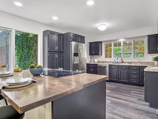 68 Carnation Dr, Belleville, IL 62221 - kitchen with appliances with stainless steel finishes, a sink, dark wood-type flooring, recessed lighting, and wood counters