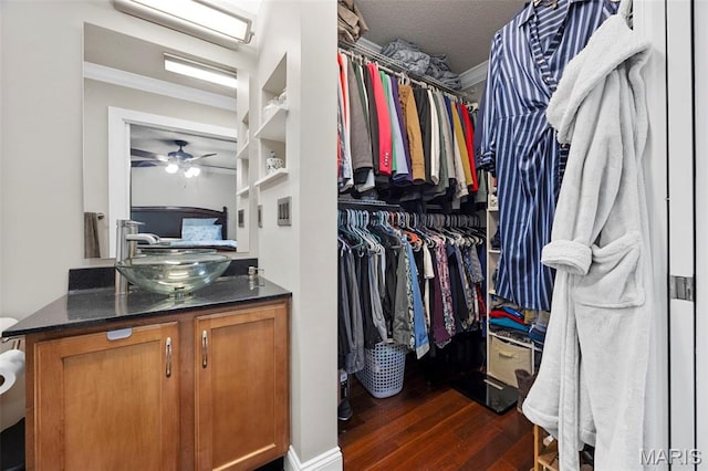 3216 Domain St, Saint Charles, MO 63301 - spacious closet featuring dark wood-style floors and a ceiling fan
