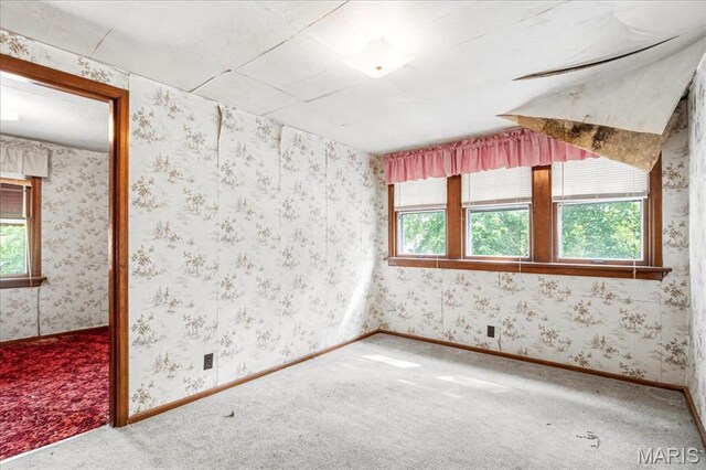 1790 Washington St, Florissant, MO 63033 - photo 21