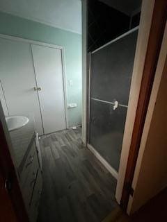 408 Summit, Doniphan, MO 63935 - bathroom featuring vanity, wood finished floors, and a stall shower