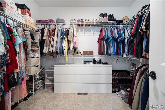 251 Randlin Dr, Ofallon, MO 63367 - spacious closet featuring carpet flooring