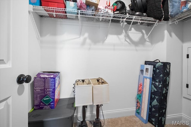 251 Randlin Dr, Ofallon, MO 63367 - spacious closet featuring carpet flooring