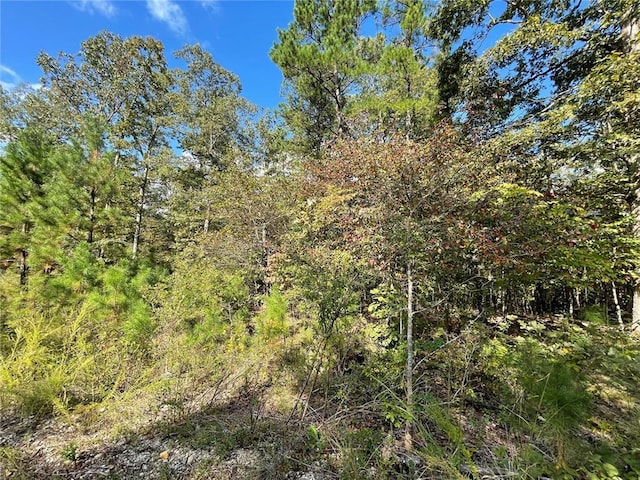 3 Woodland Hts W, Poplar Bluff, MO 63901