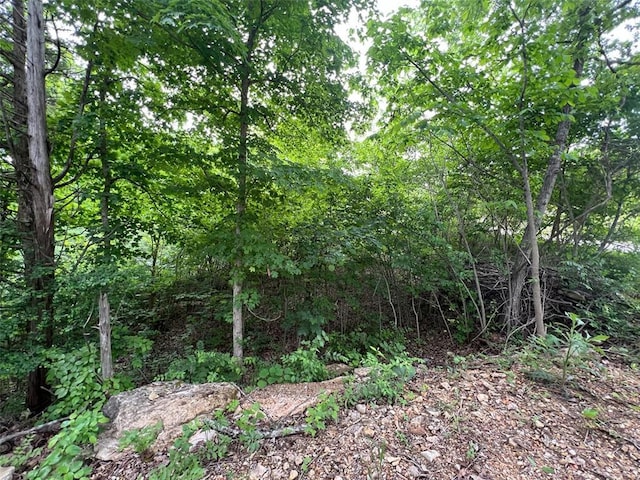 19152 Sassafras Dr, Hillsboro, MO 63050