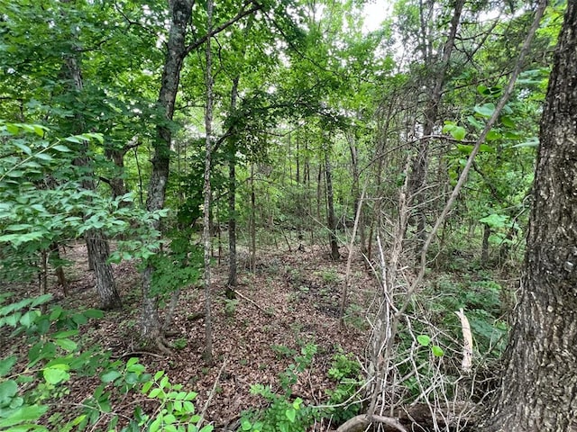19152 Sassafras Dr, Hillsboro, MO 63050