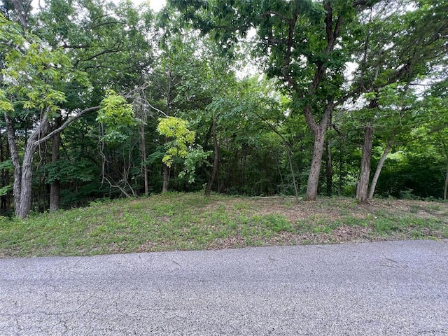 19152 Sassafras Dr, Hillsboro, MO 63050