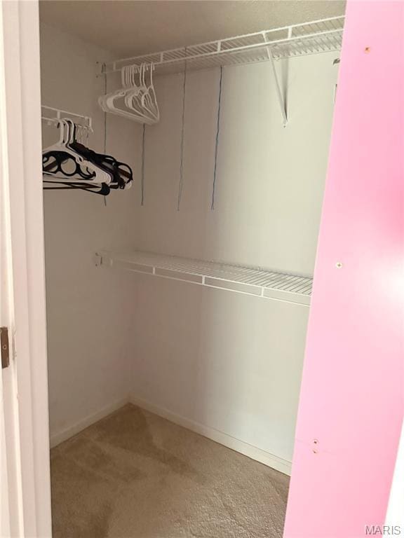 905 Hanna Place Ct Unit C, Manchester, MO 63021 - spacious closet with carpet