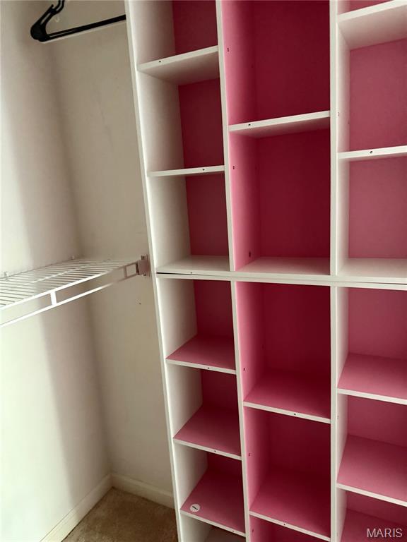 905 Hanna Place Ct Unit C, Manchester, MO 63021 - view of closet