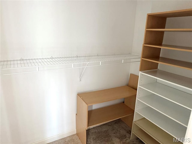 905 Hanna Place Ct Unit C, Manchester, MO 63021 - spacious closet featuring carpet floors