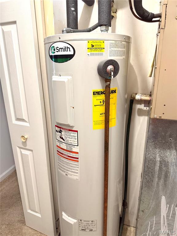 905 Hanna Place Ct Unit C, Manchester, MO 63021 - utilities with water heater
