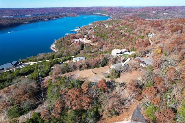 15 Aspen Rd, Galena, MO 65656