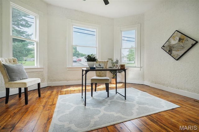 126 N Union St, Staunton, IL 62088 - office space with plenty of natural light, wood-type flooring, and a textured wall