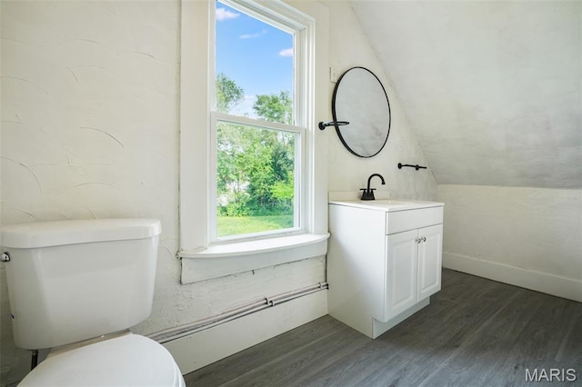126 N Union St, Staunton, IL 62088 - bathroom with vanity, wood finished floors, and lofted ceiling