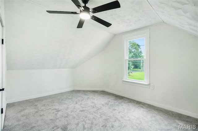 126 N Union St, Staunton, IL 62088 - additional living space with lofted ceiling, carpet floors, and ceiling fan