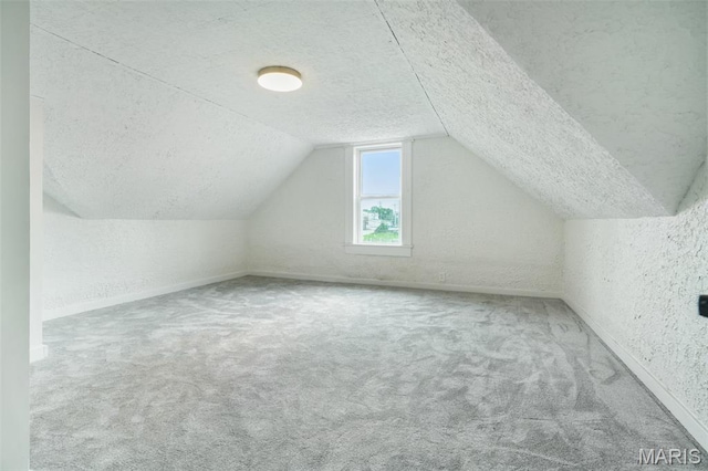 126 N Union St, Staunton, IL 62088 - additional living space with a textured ceiling, carpet floors, a textured wall, and vaulted ceiling