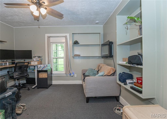 870 Walnut St, Newburg, MO 65550 - carpeted office space with ceiling fan, a textured ceiling, and baseboards
