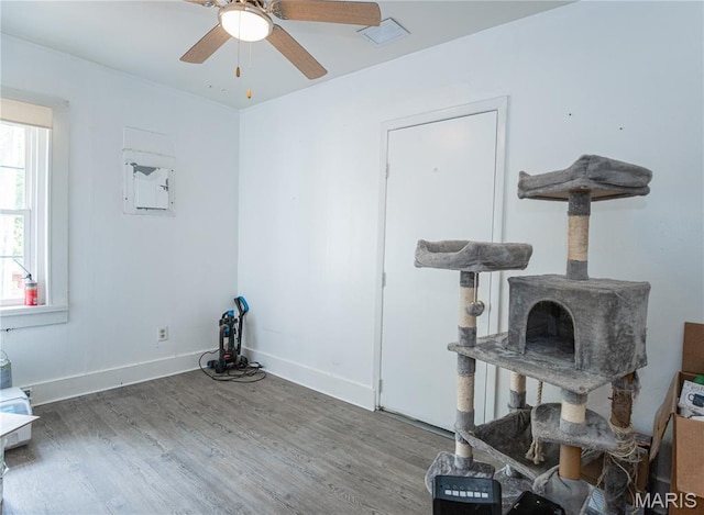 870 Walnut St, Newburg, MO 65550 - unfurnished room with wood finished floors, a ceiling fan, and baseboards