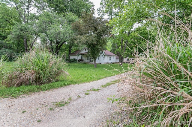870 Walnut St, Newburg, MO 65550 - view of dirt / gravel road