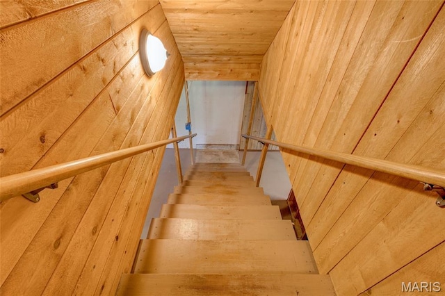31511 Bowman Station Rd, Jerseyville, IL 62052 - stairway featuring wooden walls