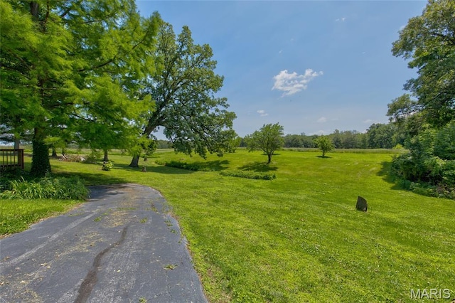 31511 Bowman Station Rd, Jerseyville, IL 62052 - view of road