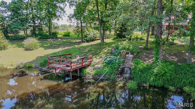 31511 Bowman Station Rd, Jerseyville, IL 62052 - dock with view of wooded area
