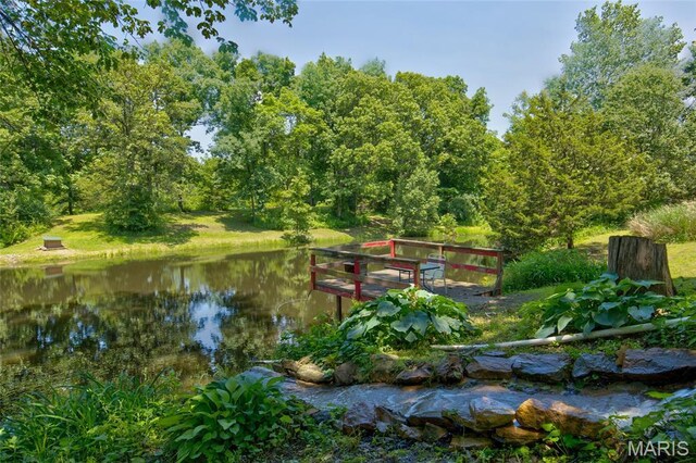31511 Bowman Station Rd, Jerseyville, IL 62052 - dock featuring a water view
