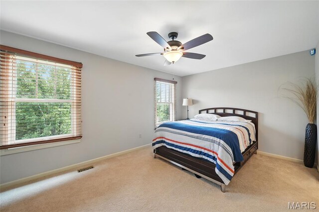 311 Larimore Valley Dr, Wildwood, MO 63005 - photo 22