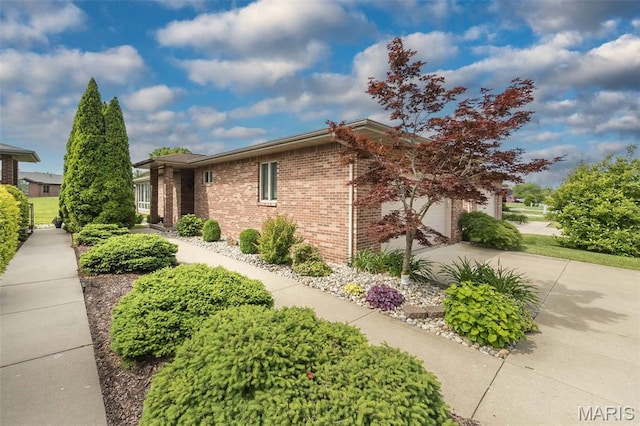 1812 Carrington Way, Belleville, IL 62226 - view of side of property with brick siding, an attached garage, and driveway