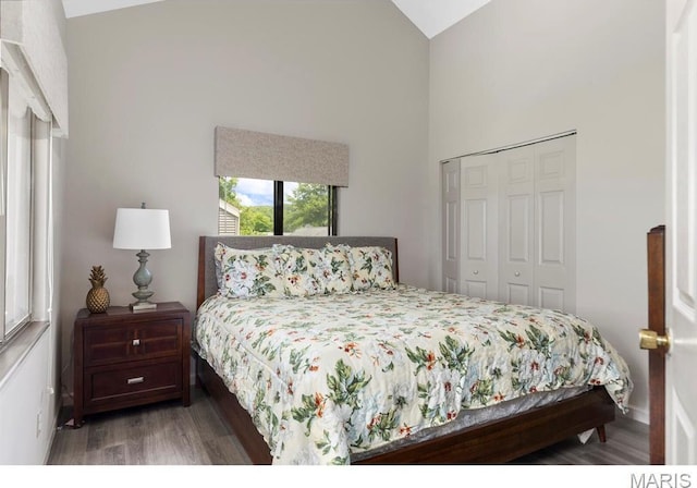 96 Geneva View Dr, Innsbrook, MO 63390 - bedroom featuring wood finished floors, high vaulted ceiling, a closet, and baseboards