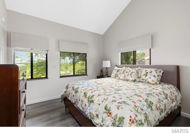 96 Geneva View Dr, Innsbrook, MO 63390 - bedroom with wood finished floors, baseboards, and high vaulted ceiling