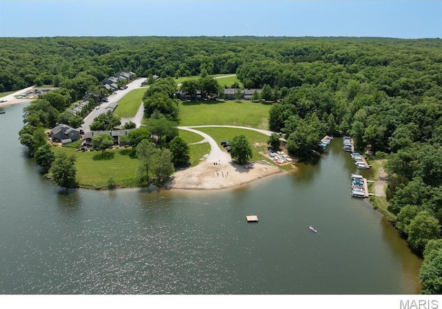 96 Geneva View Dr, Innsbrook, MO 63390 - bird's eye view of a forest and a large body of water