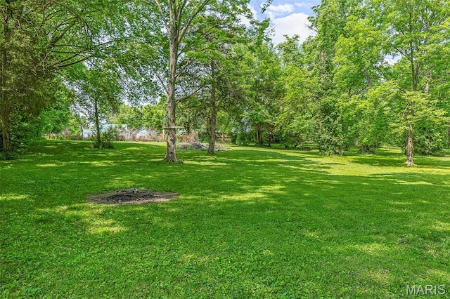 1249 Old Jackson Rd, Farmington, MO 63640 - photo 10