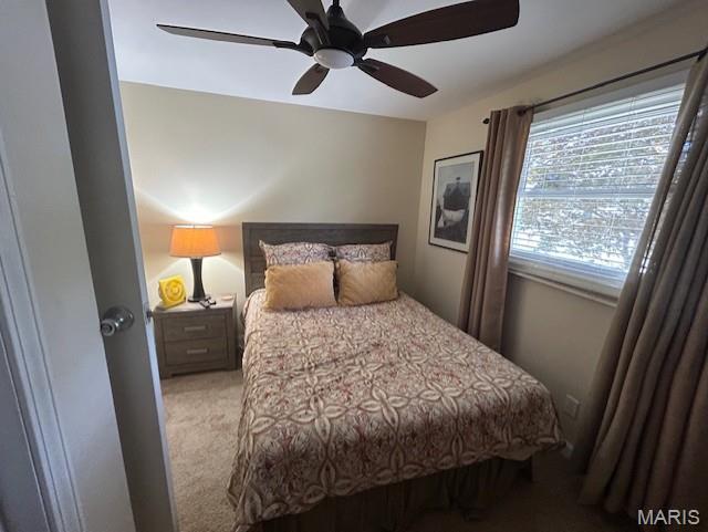 1408 Nursery Ave, Greenville, IL 62246 - photo 18