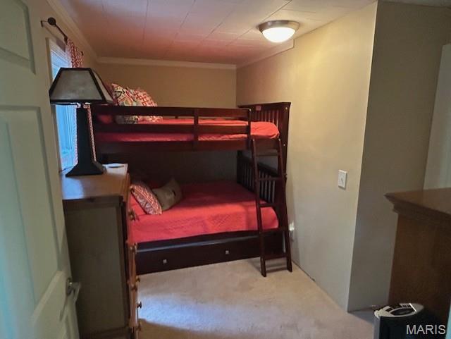 1408 Nursery Ave, Greenville, IL 62246 - photo 22
